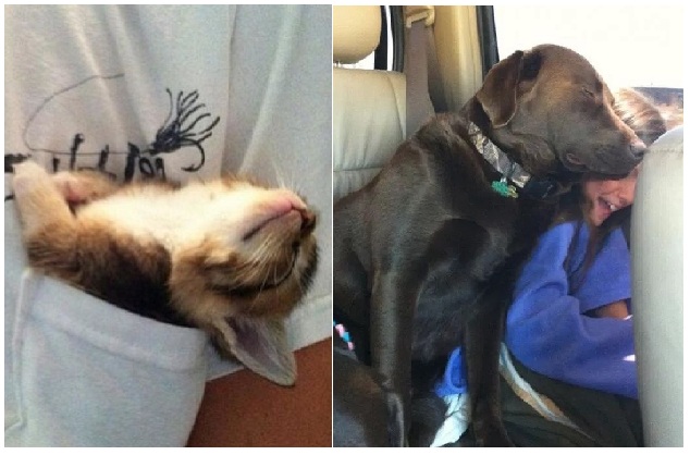 Zdroj : tinhtamvn.net