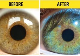 Zdroj : brightside.me