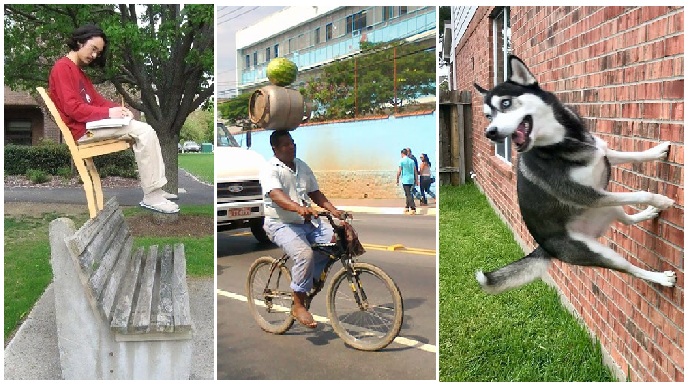 Zdroj: boredpanda.com