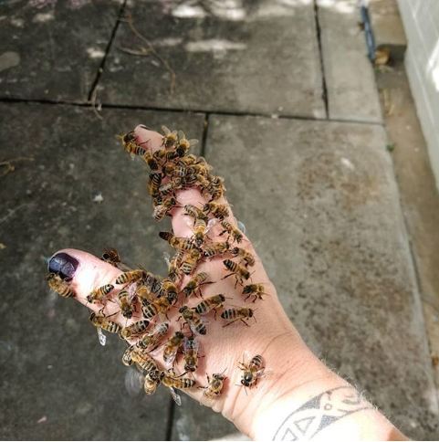 Zdroj : brightside.me