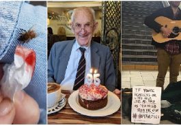 Zdroj : brightside.me