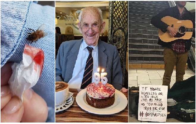 Zdroj : brightside.me