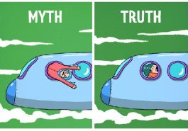 Zdroj : brightside.me