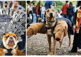 Zdroj : facebook.com/SkullsNThings