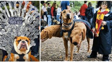 Zdroj : facebook.com/SkullsNThings