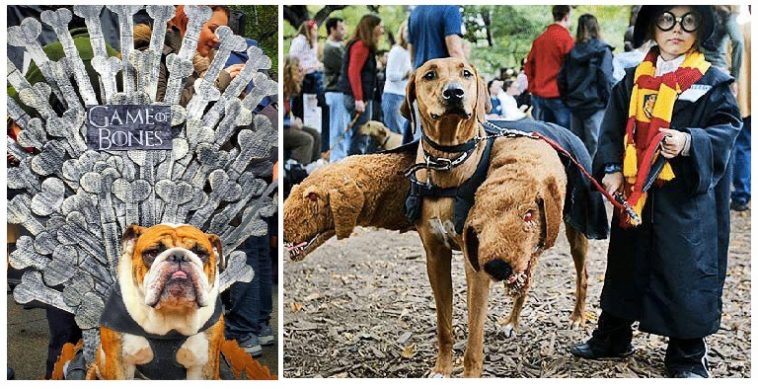 Zdroj : facebook.com/SkullsNThings