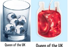 Zdroj : brightside.me