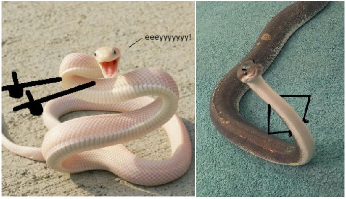 Zdroj : boredpanda.com