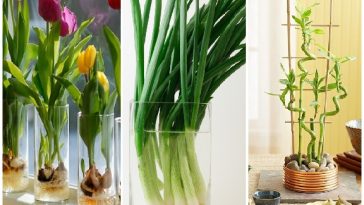 Zdroj : brightside.me