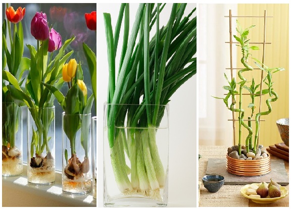 Zdroj : brightside.me