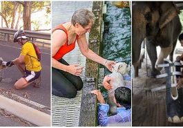 Zdroj : brightside.me