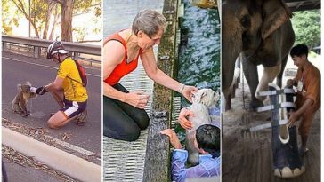 Zdroj : brightside.me