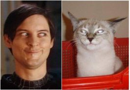 Zdroj : tinhtamvn.net