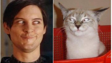 Zdroj : tinhtamvn.net