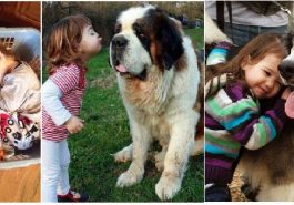 Zdroj : brightside.me