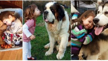 Zdroj : brightside.me