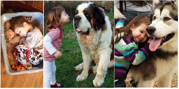 Zdroj : brightside.me