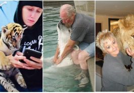 Zdroj : brightside.me