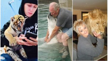 Zdroj : brightside.me