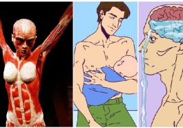 Zdroj : brightside.me