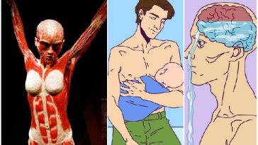 Zdroj : brightside.me