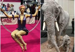 Zdroj : brightside.me