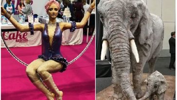 Zdroj : brightside.me