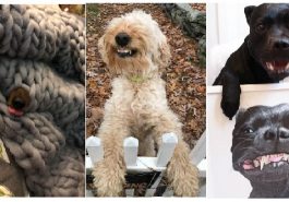 Zdroj : brightside.me