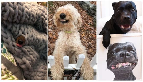 Zdroj : brightside.me