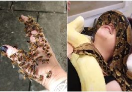 Zdroj : brightside.me