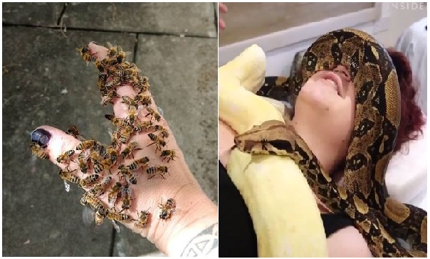 Zdroj : brightside.me