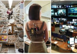 Zdroj : brightside.me