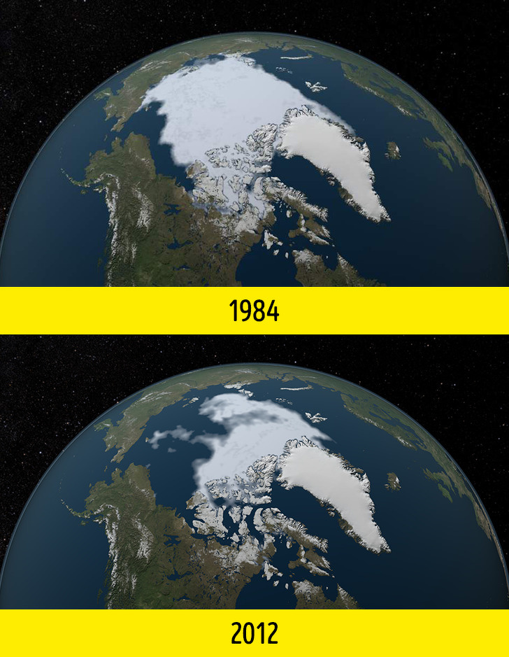 Zdroj : brightside.me