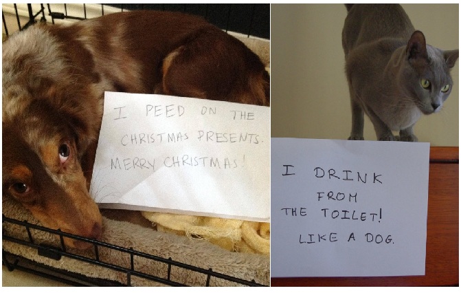 Zdroj : brightside.me