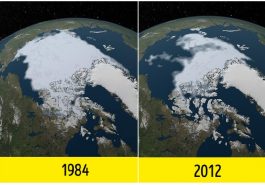 Zdroj : brightside.me