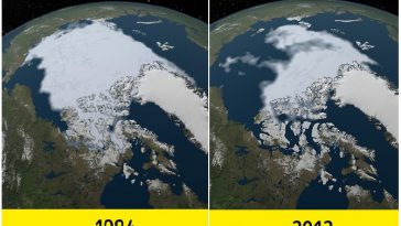 Zdroj : brightside.me