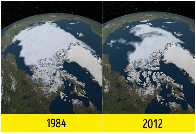 Zdroj : brightside.me
