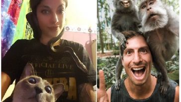 Zdroj : brightside.me