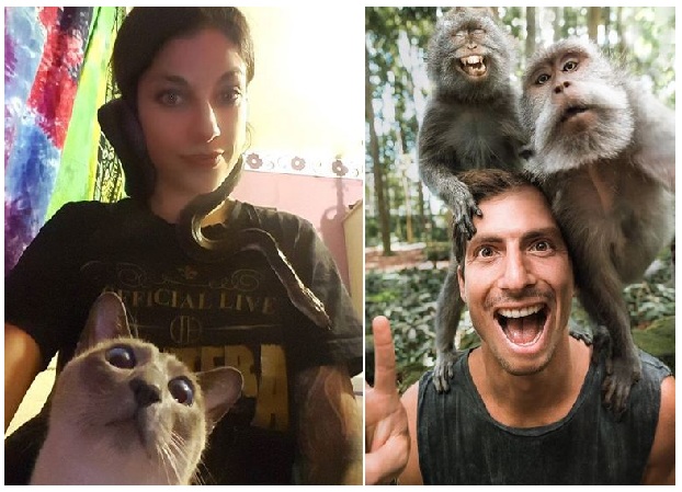 Zdroj : brightside.me