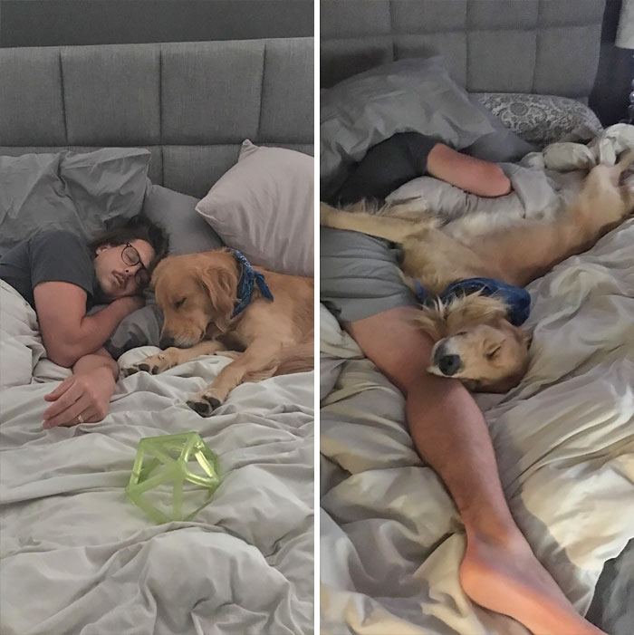 Zdroj : boredpanda.com