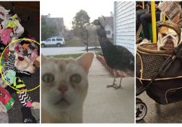 Zdroj: brightside.me