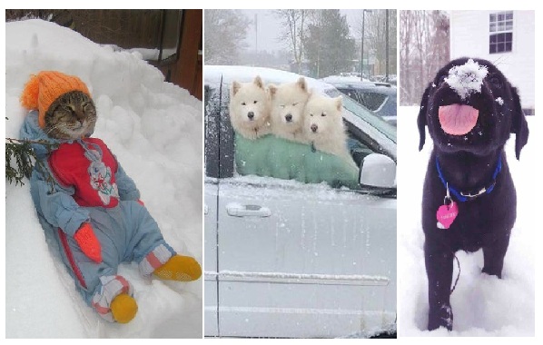 Zdroj : brightside.me