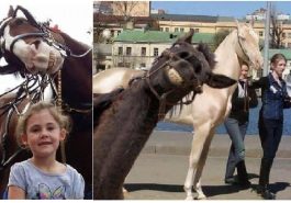 Zdroj : brightside.me