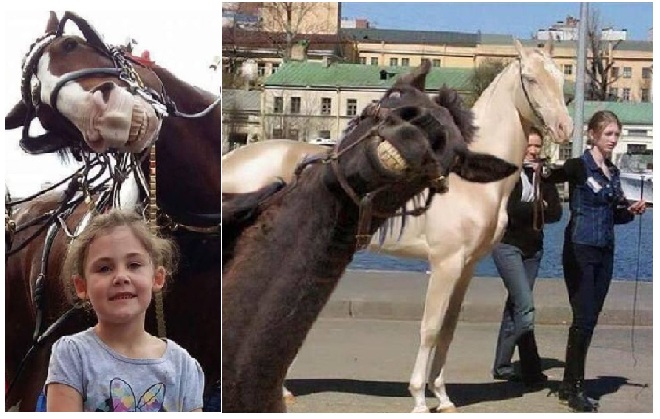 Zdroj : brightside.me