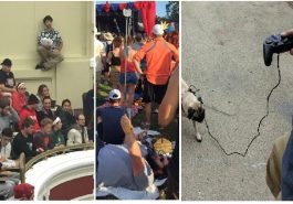 Zdroj : brightside.me