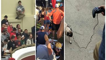 Zdroj : brightside.me