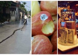 Zdroj : brightside.me