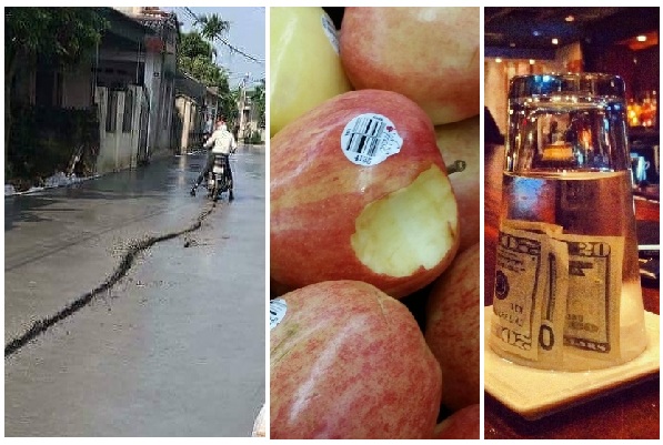 Zdroj : brightside.me