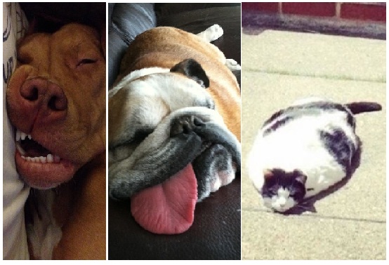 Zdroj : brightside.me