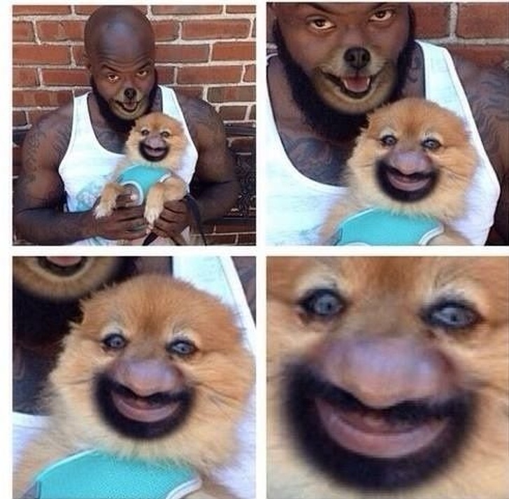 Zdroj : brightside.me